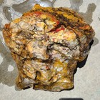 Top Quality 18 1 Lb Brecciated Jasper agate Rough With Unique Colors From Utah