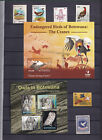 Collection Of Birds Stamps From Different Countries In Stock Book
