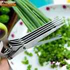 Herb Scissors Set With 5 Blades And Cover - Multipurpose Kitchen Chopping Shear