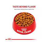 Royal Canin Breed Health Nutrition German Shepherd Adult Dry Dog Food  30 Lbs 
