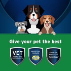 Pet Protect Vet-formulated Digestive Health Supplement For Dogs  60 Chews