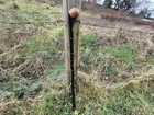 Irish Blackthorn Walking Stick Cane Custom Made Wooden Handcrafted