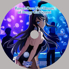 Anime  Rascal Does Not Dream Of Bunny Girl Senpai Ep 1-13   3 Movies Eng audio