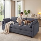 3 Seater Couches For Living Room  Cloud Sleeper Sofa With Double Cushion  Gray