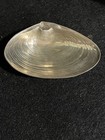 Wallace Clam Oyster Sea Shell Dish Nut Solid Sterling 393 Nautical  Qty 2