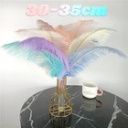 10pcs lot Colored Ostrich Feathers For Crafts Wedding Decoration Party Colors