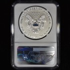 2019-s  1 Enhanced Reverse Proof Silver Eagle     Ngc Pf-69     Coin Rev Pr S A