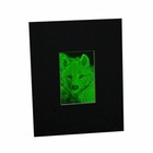 3d Arctic Wolf 2-channel Hologram Picture  matted  Collectible Photopolymer Type