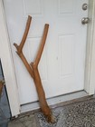 Natural Wood Manzanita Bird Perch -  For Large Bird Manzanita