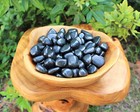 5 Shungite Specimen Tumbled Stones  Medium  crystal Healing Gemstone Reiki  