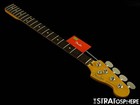 Fender American Professional Classic Precision Bass  Neck   Tuners Rw Rosewood
