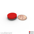 3 4 X 1 4 Inch Strong Neodymium Rare Earth Disc Magnets N52  6 Pack 