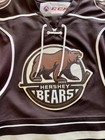 Hershey Bears Authentic Youth S Hockey Jersey Brown Ccm Ahl Rare Canada
