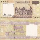 Somalia Set 5 Unc 1000 2000 10000 50000 Shilling 2010 2023 2024 P 38 39 41 42 43