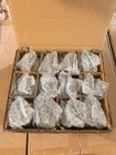 Green By The Dozen  12  Mini Hen On Nest New Salt Dish Hon  You Get 12