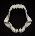 Great White Shark Jaw Replica 40cm Giant Shark Jaws Teeth Marine Display