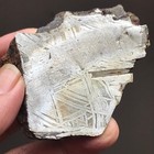 Natural Aletai Iron Meteorite 171 2 Grams Cut Slabs Etched Perfect Fusion Crust