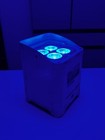 Chauvet Dj Lighting Freedom Par Hex-4 Wireless  Battery-operated Led Light White