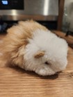  rare Small Peruvian Handmade Guinea Pig Stuffed Animal Made With Alpaca Fur