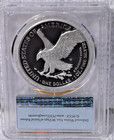 2022 W  Proof Silver Eagle Pcgs Pr70 Dcam First Strike Congratulations Set