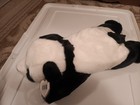 Ty Beanie Baby Buddy   peking  The Panda 