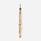 Sailor Ancora Professional Gear Slim Pansy Limited Set Gold Clear Ef Nib Jp New