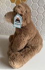 Nwt Jellycat Woody Bear Brown Cub Medium 10    Soft Plush Stuffed Animal Retired