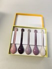 Le Creuset Purple Lavender Ube Orchid Pink Tea Spoon Set Of 5 New Rare