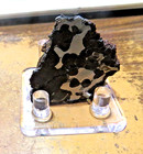 73 Gm Sericho Pallasite Meteorite Slice Triple Cut From Kenya Stand Olivine Jal