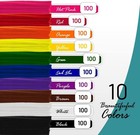 1000 Pcs Pipe Cleaners 6mm X 12 Inch Multi-colored Chenille Stems Diy Craft
