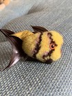 Steiff Fish Wool Miniature Yellow Brown Striped Pompom Woolen  Germany 7352 07