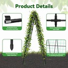 Trellume Cucumber Trellis - 49 4  49 4  Metal Garden 50  32  50   Black