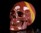 1 8  Mookaite Jasper Hand Carved Crystal Skull  Realistic  Crystal Healing