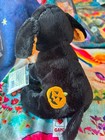 Webkinz Pumpkin Puppy W Code Sealed