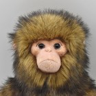 Hansa Japanese Macaque Monkey Plush Toy 34cm   Realistic Japan Monkey Figurine