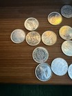 Lot Of 25    1 Gram  999 Silver Gold Silver Naples Florida Gator Rounds