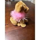 2006 Ty Beanie Baby  divalectable  The Chihuahua Dog