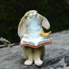 Reading Bunny Rabbit Statue Garden Sculpture Tabletop Figurine Home Decor Gifts