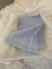 Rachel Ashwell Shabby Chic Vintage Gorgeous Blue Dotted Swiss Shower Curtain New