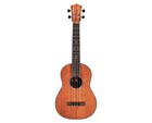 Cordoba 30t Tenor Ukulele - Open Box
