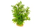 Aquarium Decor Fish Tank Decoration Ornament Artificial Plastic Plant Green     