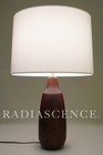Danish Mid Century Modern Turned Walnut Bottle Table Lamp Nos Gunnar Bostlund