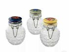 Pioneer Woman Floral Medley 3pc Spice Storage Glass Mini Jar Set W clamp Lids