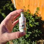 Chinese Antique Porcelain Snuff Bottle Chickens C19th Qing Cockerel Rooster