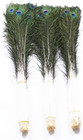 10-20 Inches 25-50 Cm Beautiful Natural Peacock Feathers Eyes Wholesale  40-50cm