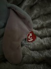 Disney Ty Sparkle Beanie Baby 7  Dumbo The Elephant Plush Bean Bag Toy Nwt