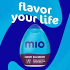 Mio Cherry Blackberry Sugar Free Water Enhancer  1 62 Fl Oz Bottle