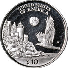 1998-w Platinum American Eagle  10 Proof Bullion Coin - Ogp Coa - Stock
