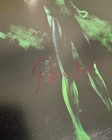 Ryan Reynolds The Green Lantern Hal Jordan Dc Signed 8x10 Photo Bas Beckett