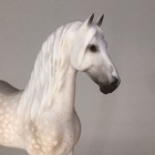Breyer Cm Sm Standing Friesian Django